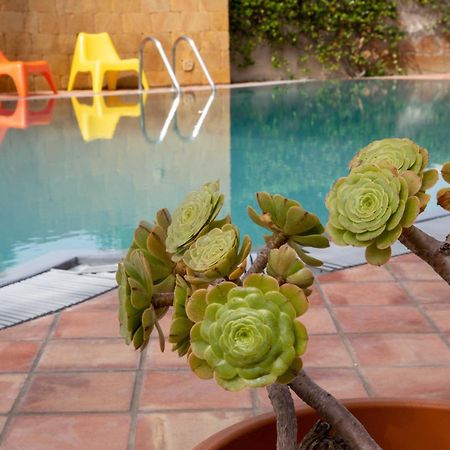 Villa Libeccio Appartment With Shared Swimming Pool, At 200 Meters From The Beach, Solarium And Private Parking Avola Extérieur photo